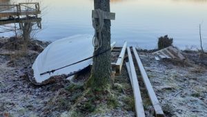 Planerat arbete - Fällning av rutten björk vid västra bryggan