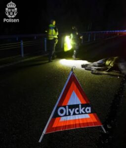 VIKTIG INFO FRÅN VÄGFÖRENINGEN! Du MÅSTE rapportera viltolyckor till 112