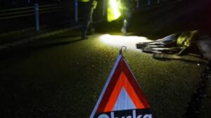 VIKTIG INFO FRÅN VÄGFÖRENINGEN! Du MÅSTE rapportera viltolyckor till 112